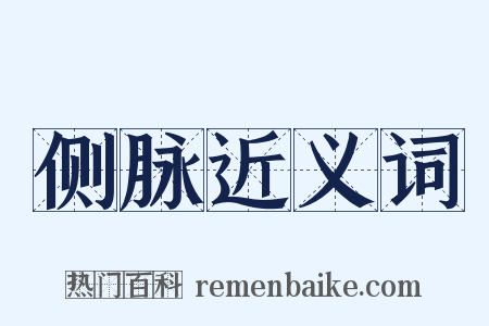 侧脉近义词是什么意思的图片